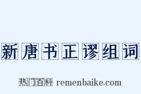新唐书正谬组词是什么意思的图片